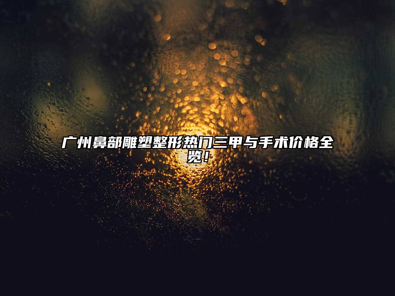 广州鼻部雕塑整形热门三甲与手术价格全览！