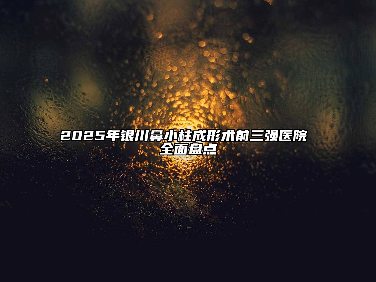 2025年银川鼻小柱成形术前三强医院 全面盘点