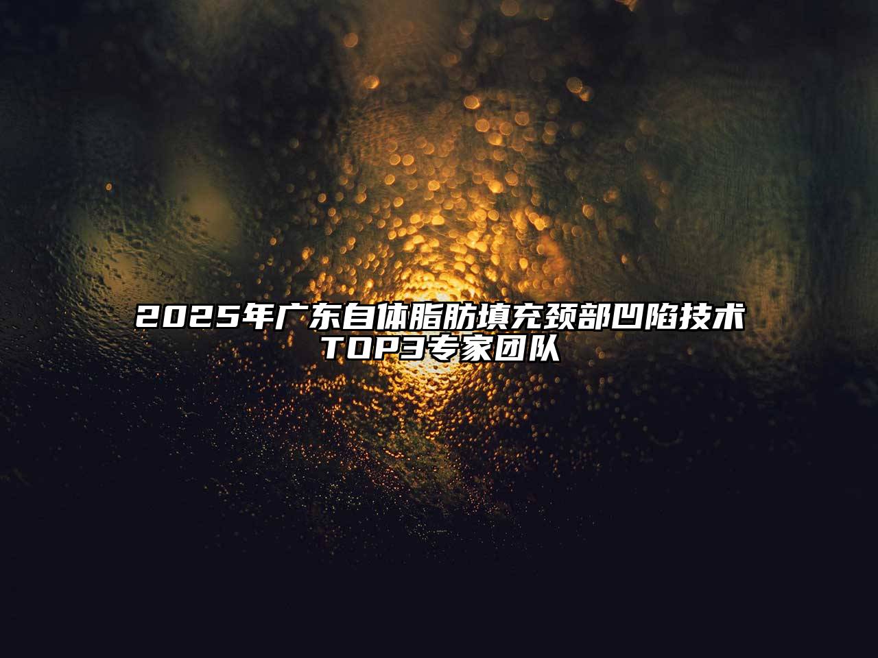 2025年广东自体脂肪填充颈部凹陷技术TOP3专家团队